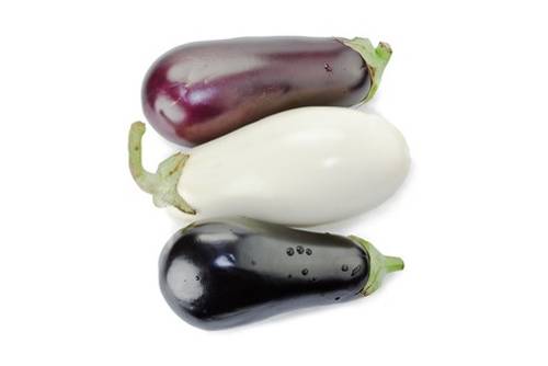Aubergine Aubergine
