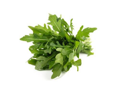 Rucola