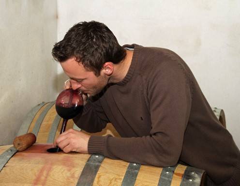Weingut Waltner