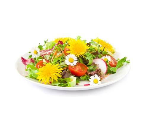 Blüten