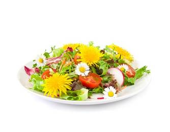Blüten Blüten
