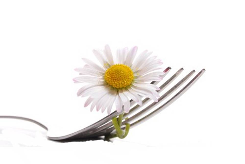 Kochen im Frühling Kochen im Frühling