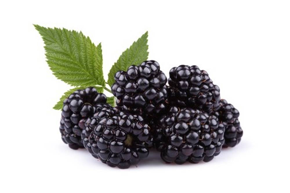 Brombeeren Brombeeren