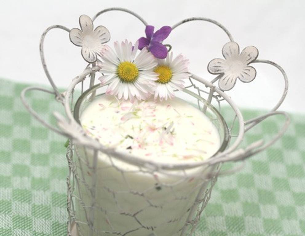 Gänseblümchenkäse Gänseblümchenkäse