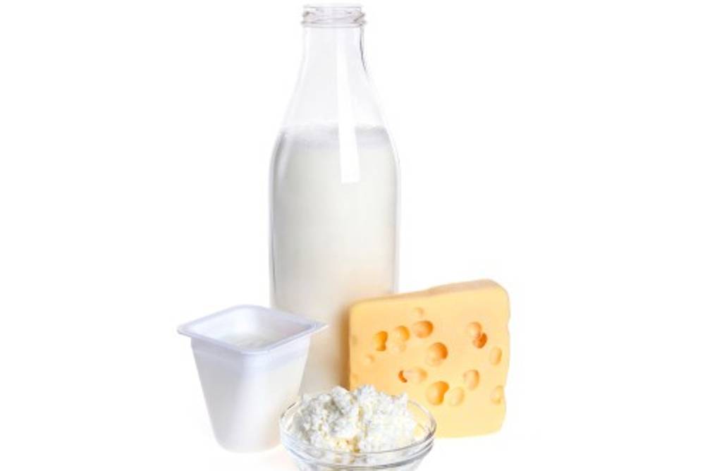 Laktose & Käse Laktose & Käse