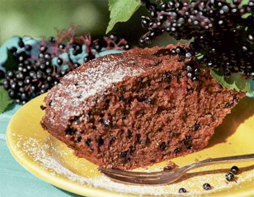 Holunderkuchen mit Rotwein Holunderkuchen mit Rotwein