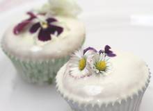Leichte Blüten Muffins Leichte Blüten Muffins