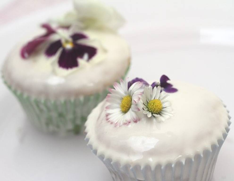 Leichte Blüten Muffins Leichte Blüten Muffins