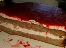 Hadn-Joghurt-Himbeertorte Hadn-Joghurt-Himbeertorte