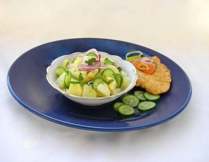 Kartoffel-Gurken-Minze-Salat Kartoffel-Gurken-Minze-Salat