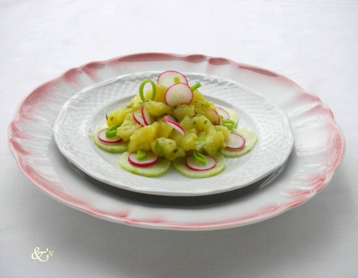 Erdapfel-Gurken-Salat mit Radieschen