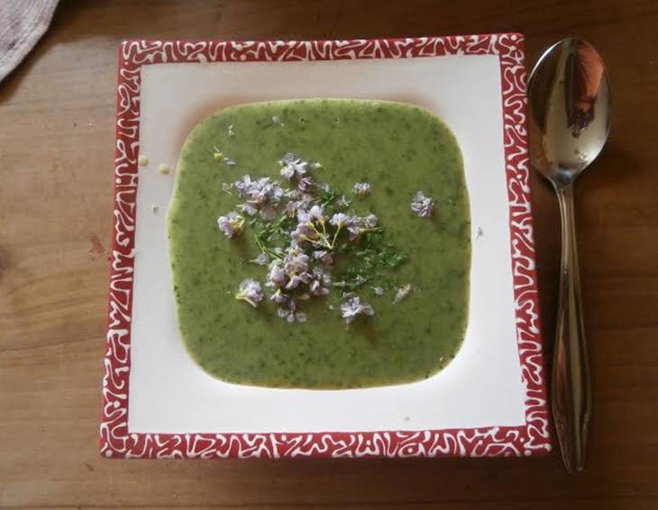 Frühlings-Wildkräutersuppe Frühlings-Wildkräutersuppe