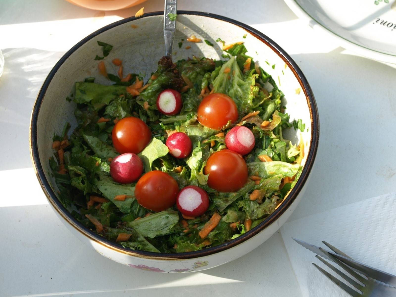 Pflücksalat mit Bärlauch