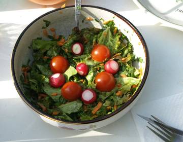 Pflücksalat mit Bärlauch Pflücksalat mit Bärlauch