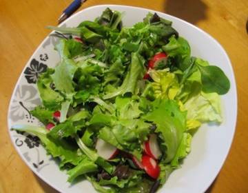 Grüner Salat Grüner Salat