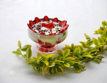 Süßes Rotkäppchen Süßes Rotkäppchen