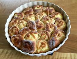 Puddingschnecken Puddingschnecken