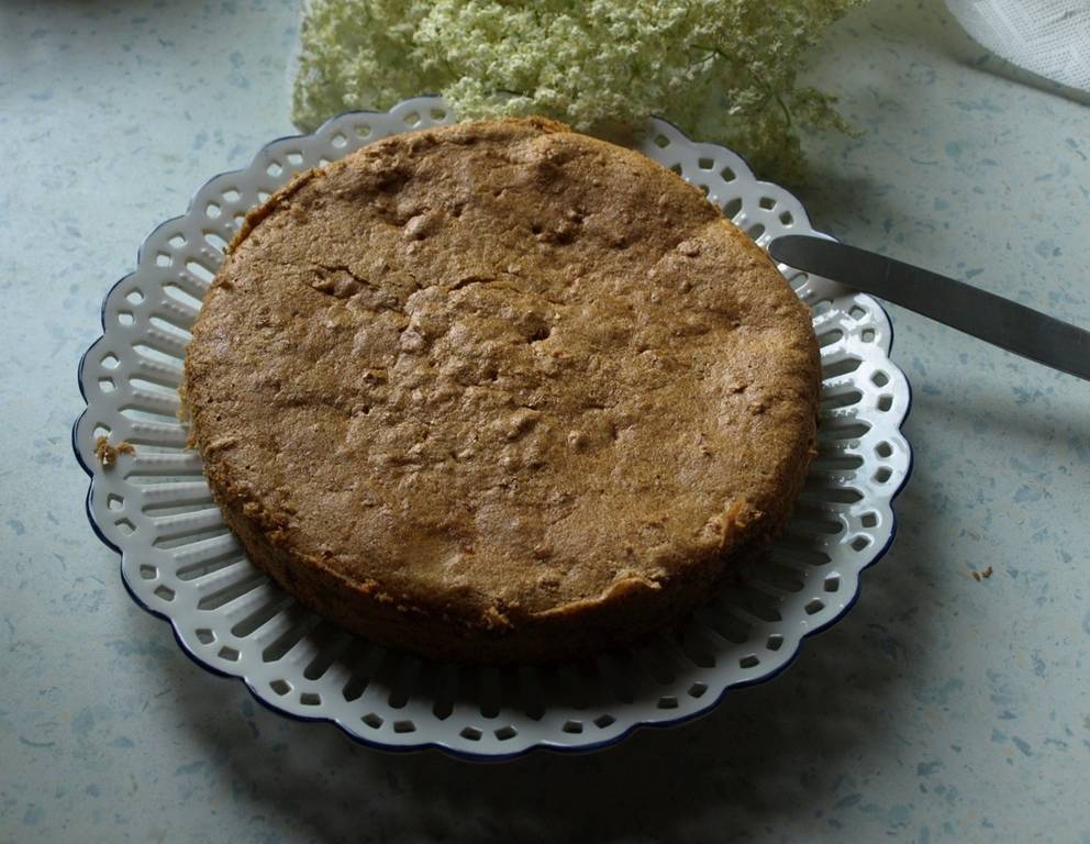 Hollerblütentorte Hollerblütentorte