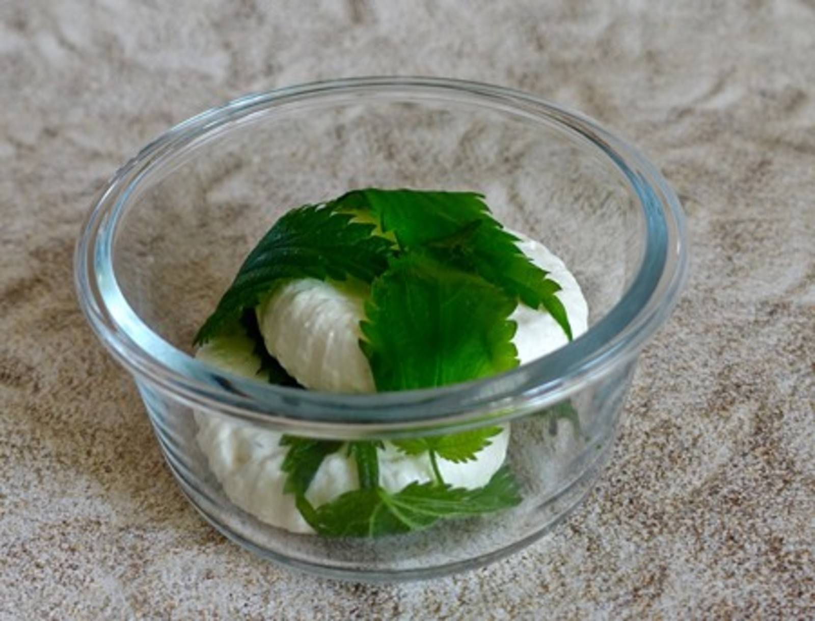 Ricotta selbst machen Rezept - ichkoche.ch Ricotta selbst machen Rezept - ichkoche.ch