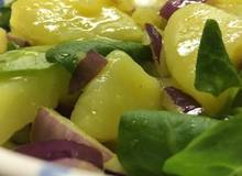 Erdäpfelsalat Wiener Art Erdäpfelsalat Wiener Art