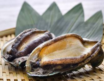 Abalone Abalone