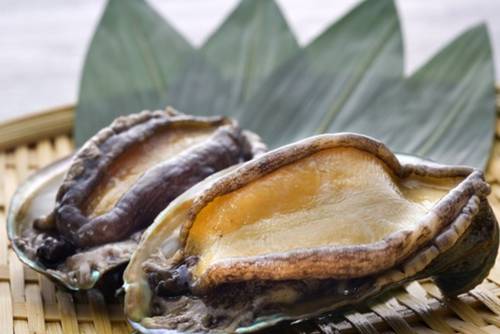 Abalone Abalone