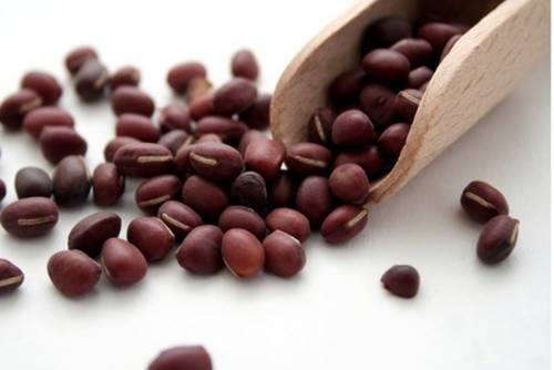 Adzukibohnen Adzukibohnen