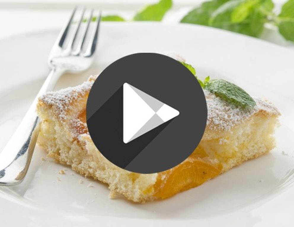 Marillenkuchen Marillenkuchen