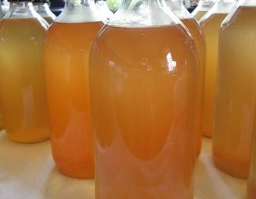 Holunderblüten-Zitrus-Sirup Holunderblüten-Zitrus-Sirup