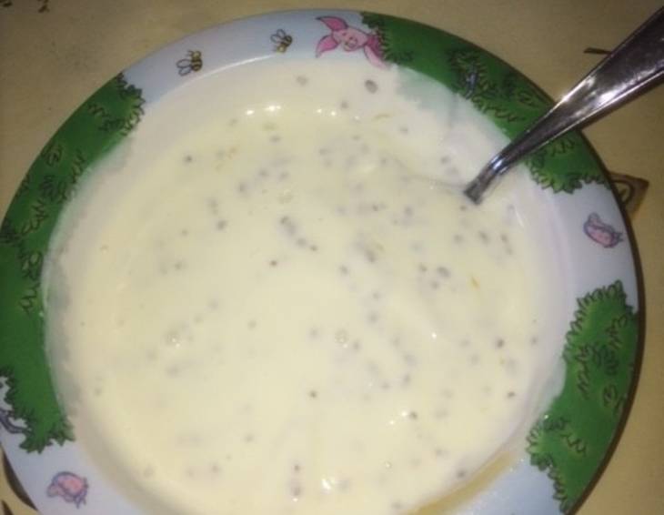 Leinsamen-Joghurt Leinsamen-Joghurt