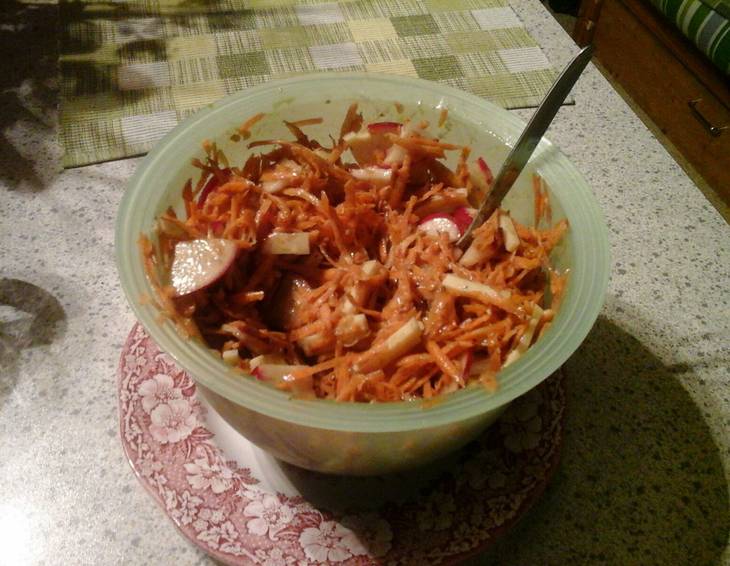 Karotten-Käsesalat Karotten-Käsesalat