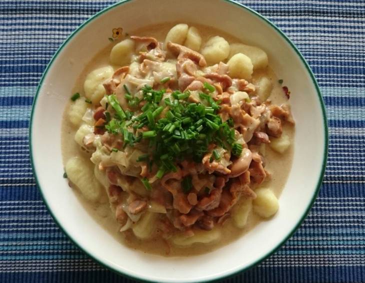 Gnocchi mit Eierschwammerlsauce Gnocchi mit Eierschwammerlsauce