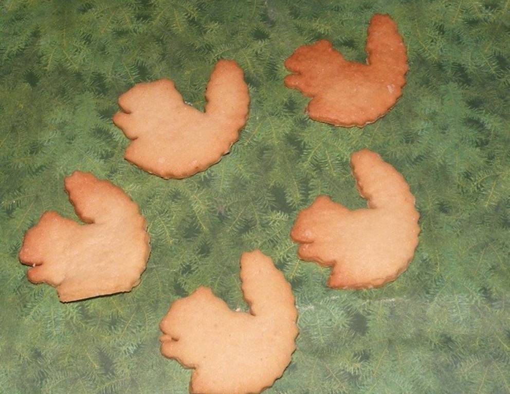 Knusperhörnchen Hundekekse Knusperhörnchen Hundekekse