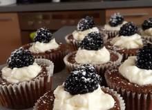 Mohn-Cupcakes Mohn-Cupcakes