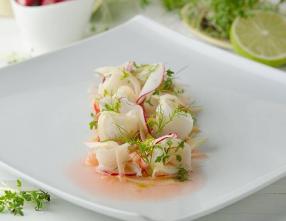 Ceviche mit Scholle, Fenchel und Radieschen Ceviche mit Scholle, Fenchel und Radieschen