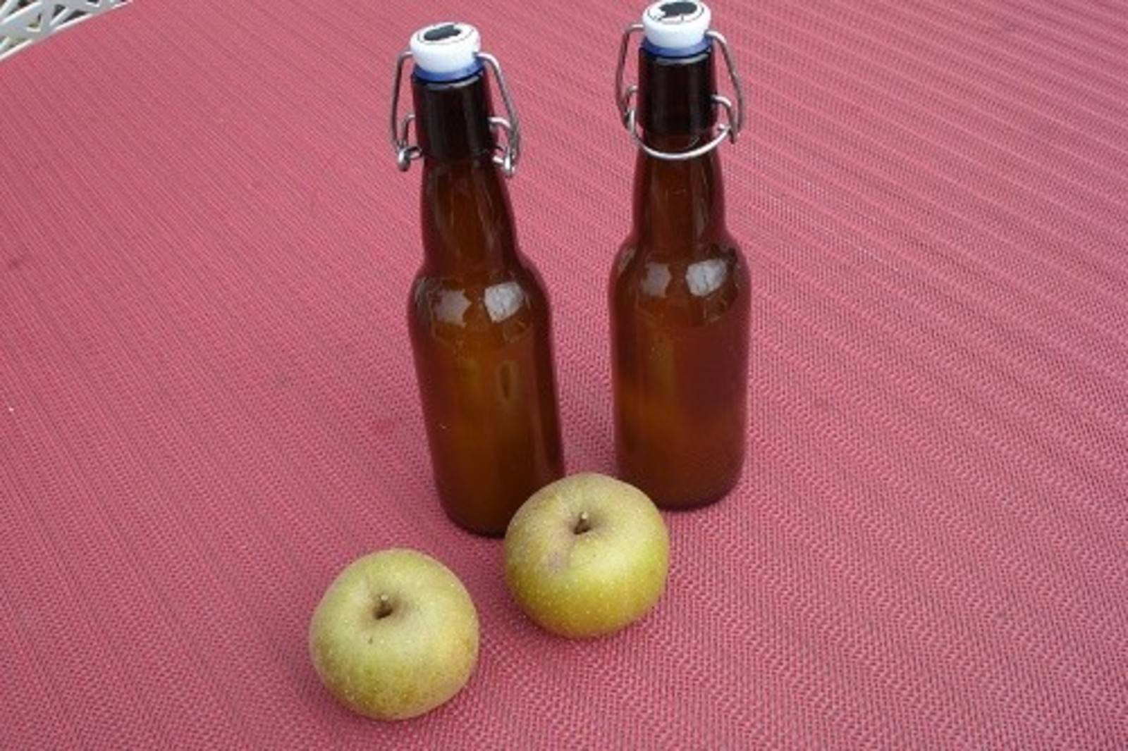Apfelsaft Rezept - ichkoche.de