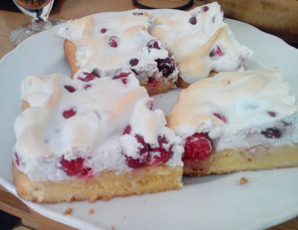 Ribiselschnitten Ribiselschnitten