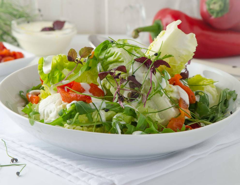 Die besten Salat Rezepte