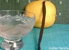 Holunderblüten-Zitronen-Likör