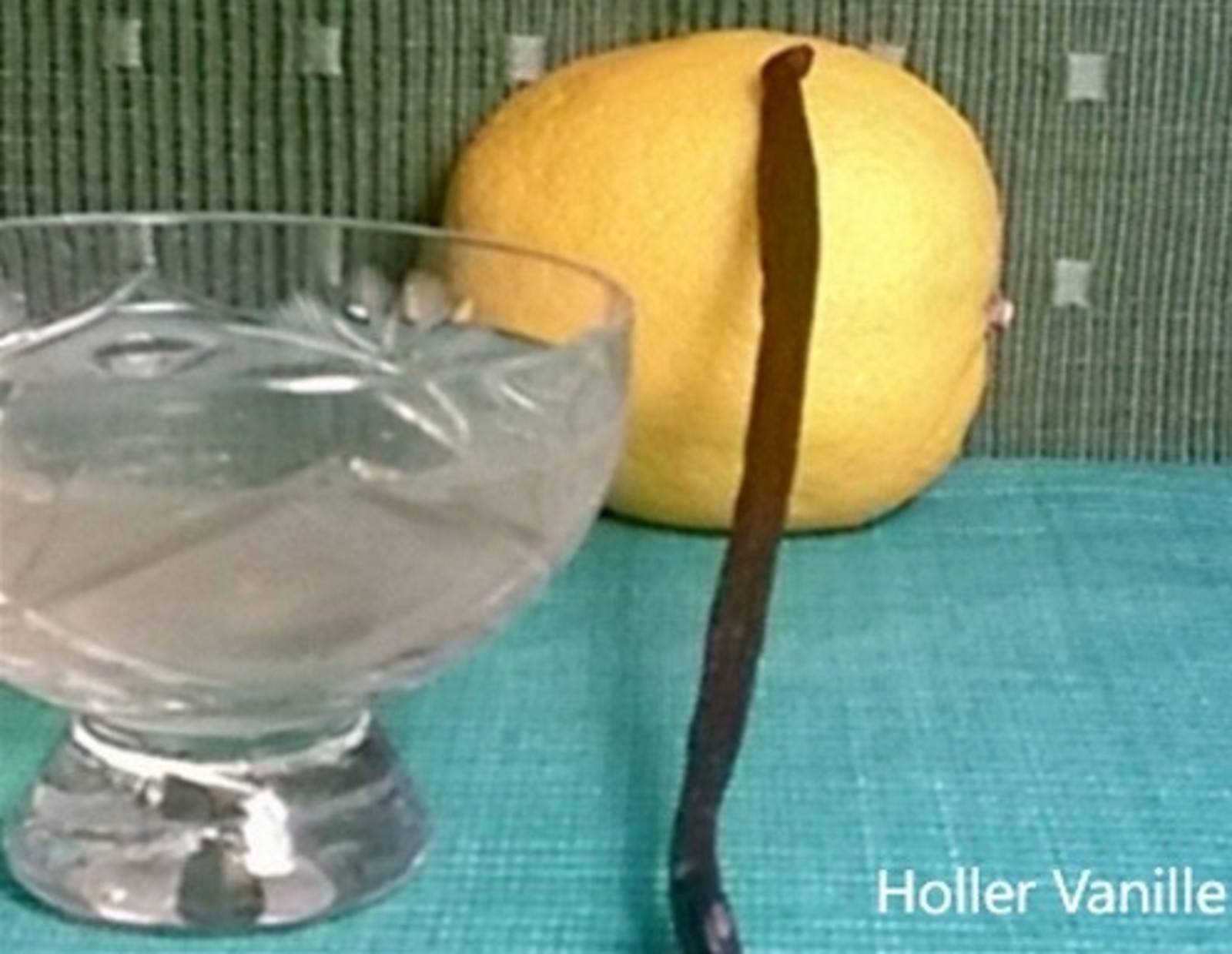 Holunderblüten-Zitronen-Likör Rezept - ichkoche.de Holunderblüten-Zitronen-Likör Rezept - ichkoche.de