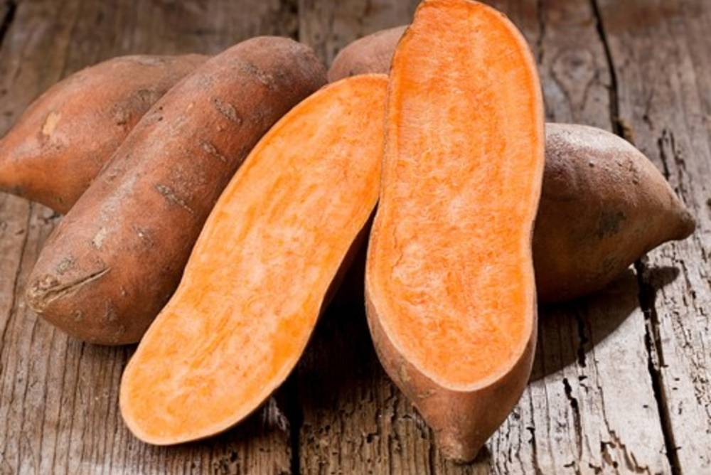 Süßkartoffel Süßkartoffel