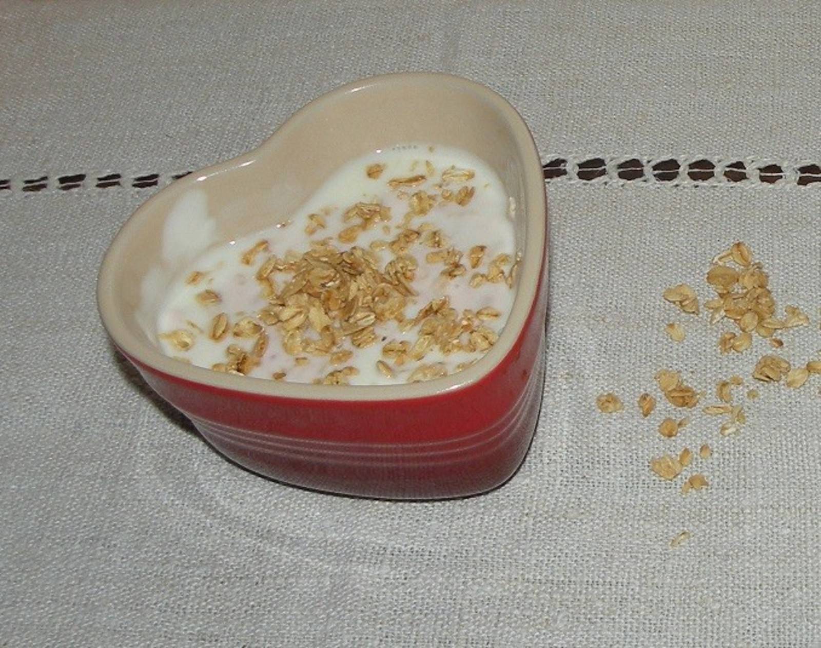 Granola Fitfrühstück