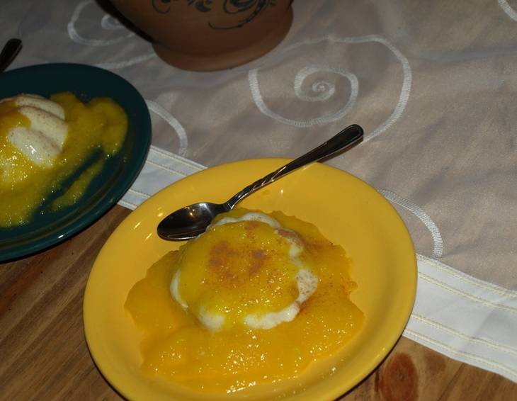 Vanillepudding mit Mangosauce