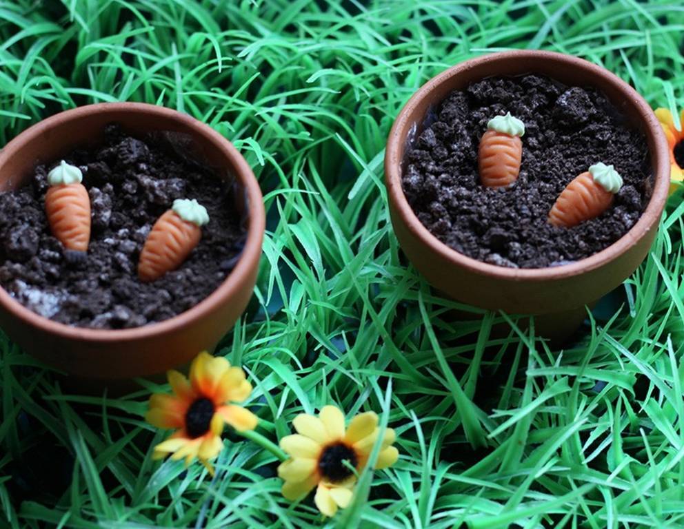 Blumenerde im Topf Blumenerde im Topf