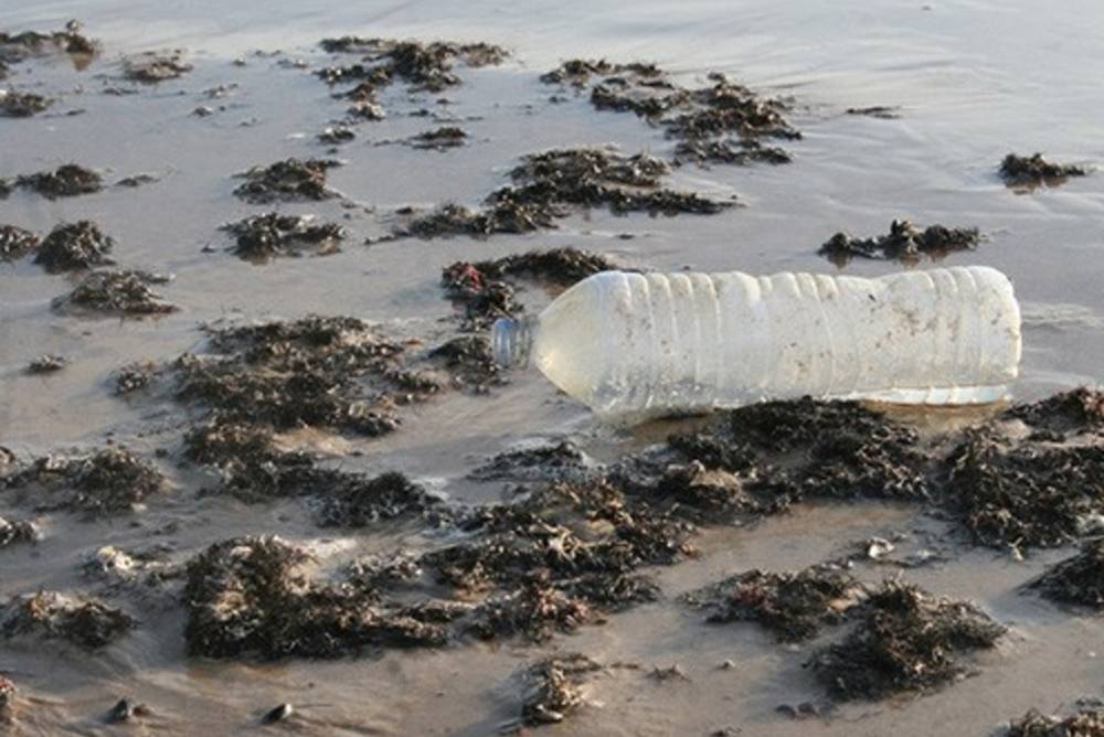 Brita - Vermeiden Sie Plastikmüll Brita - Vermeiden Sie Plastikmüll