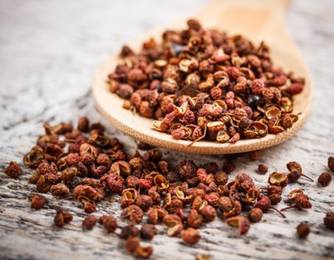 Japanischer Bergpfeffer Japanischer Bergpfeffer