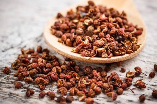 Japanischer Bergpfeffer Japanischer Bergpfeffer