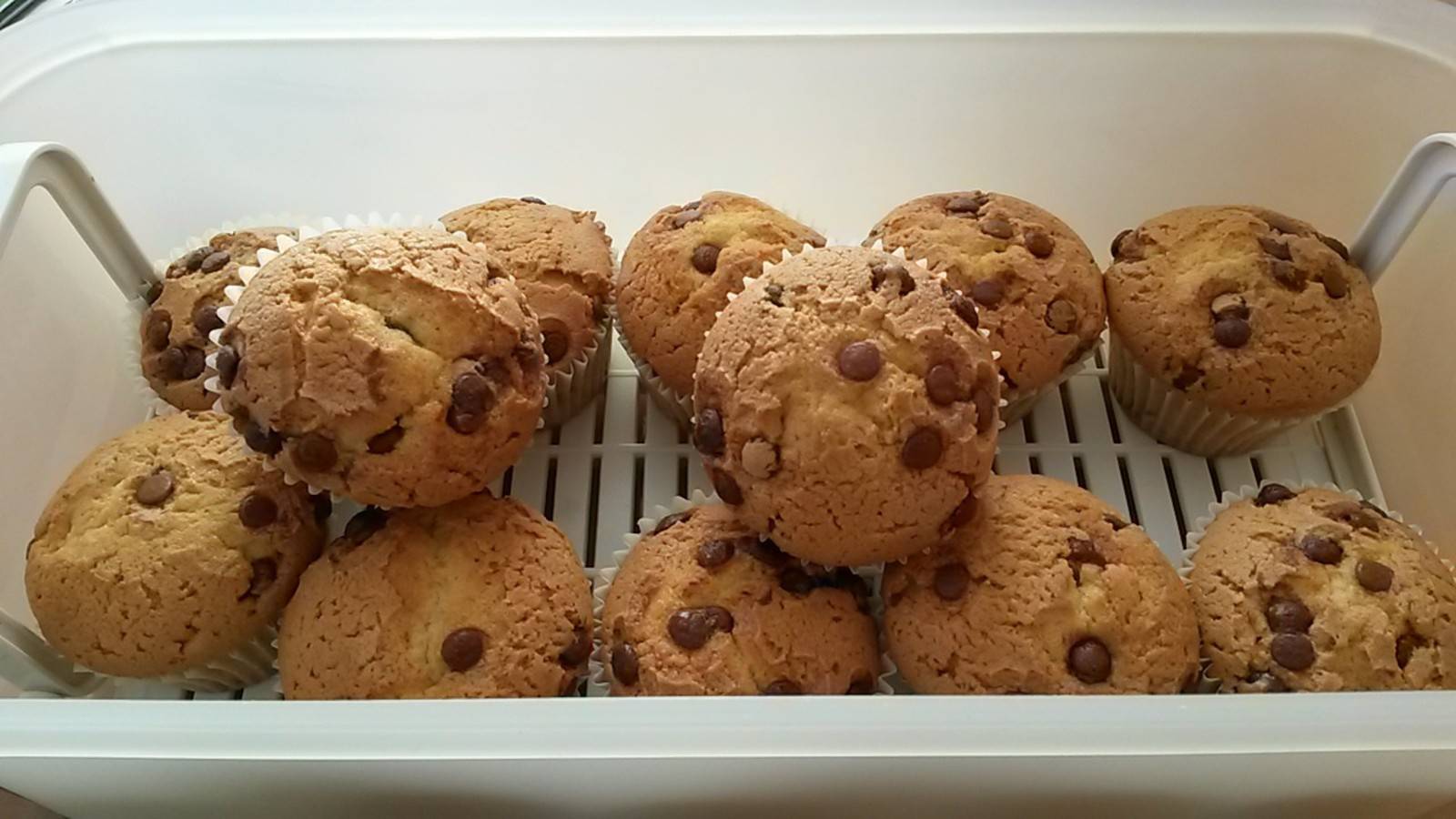 Muffins mit Schokotröpfchen Rezept - ichkoche.at