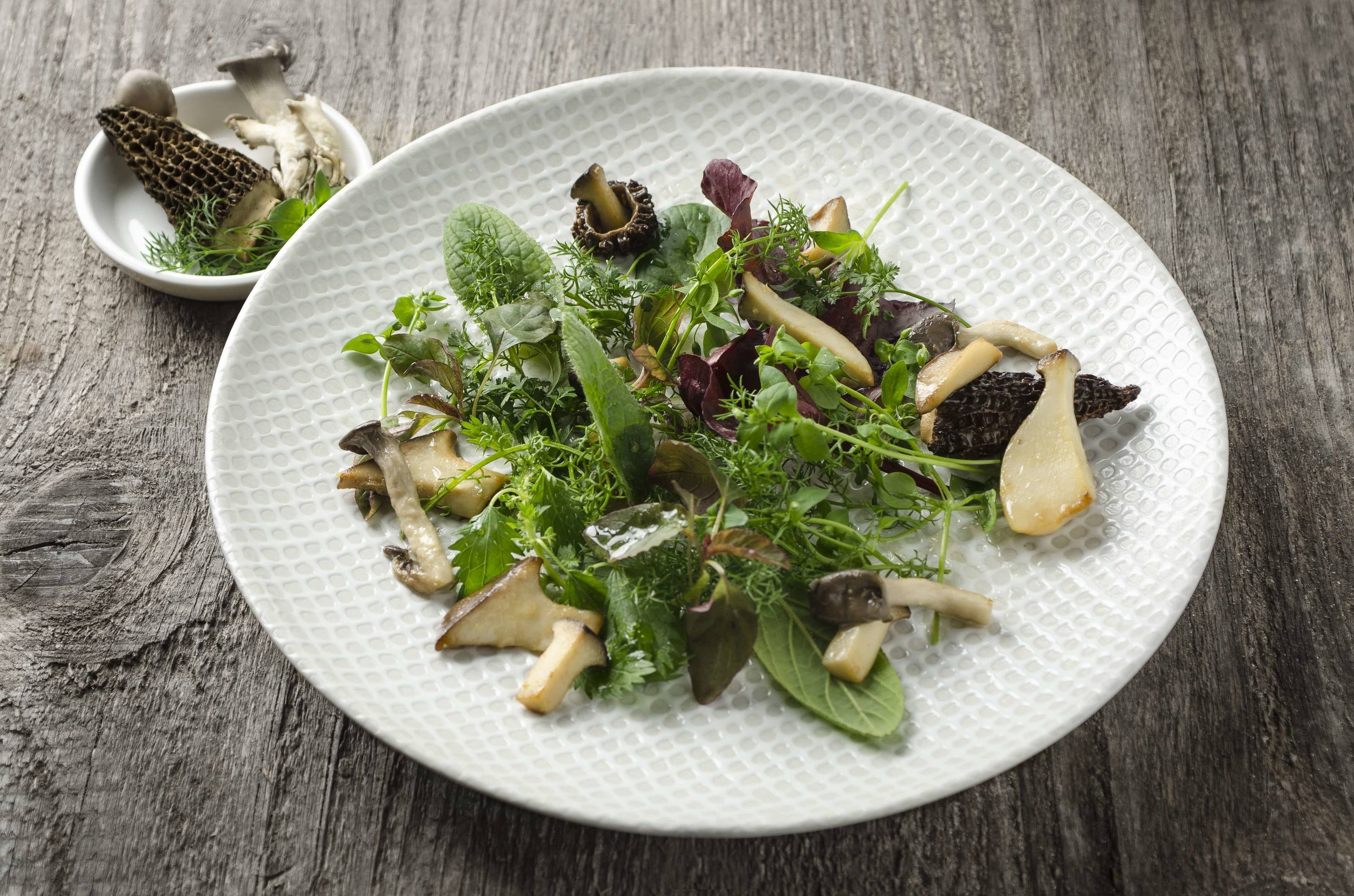 Wildkräutersalat mit gerösteten Pilzen