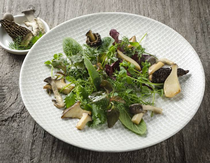 Wildkräutersalat mit gerösteten Pilzen Wildkräutersalat mit gerösteten Pilzen
